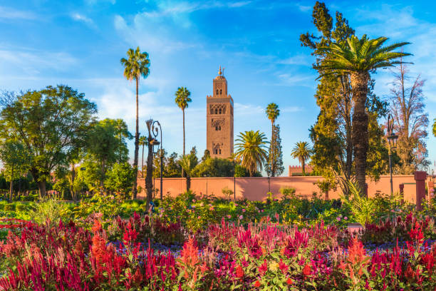 Lee más sobre el artículo Ruta de 10 días en Marruecos desde Fez